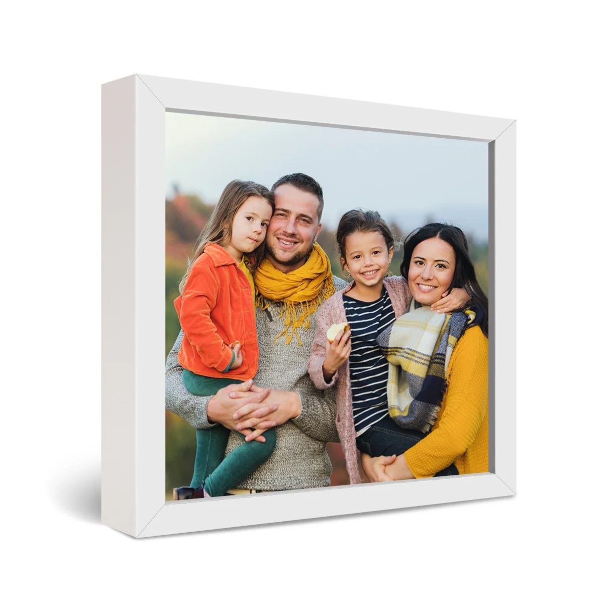 24x24" Framed Metal Print