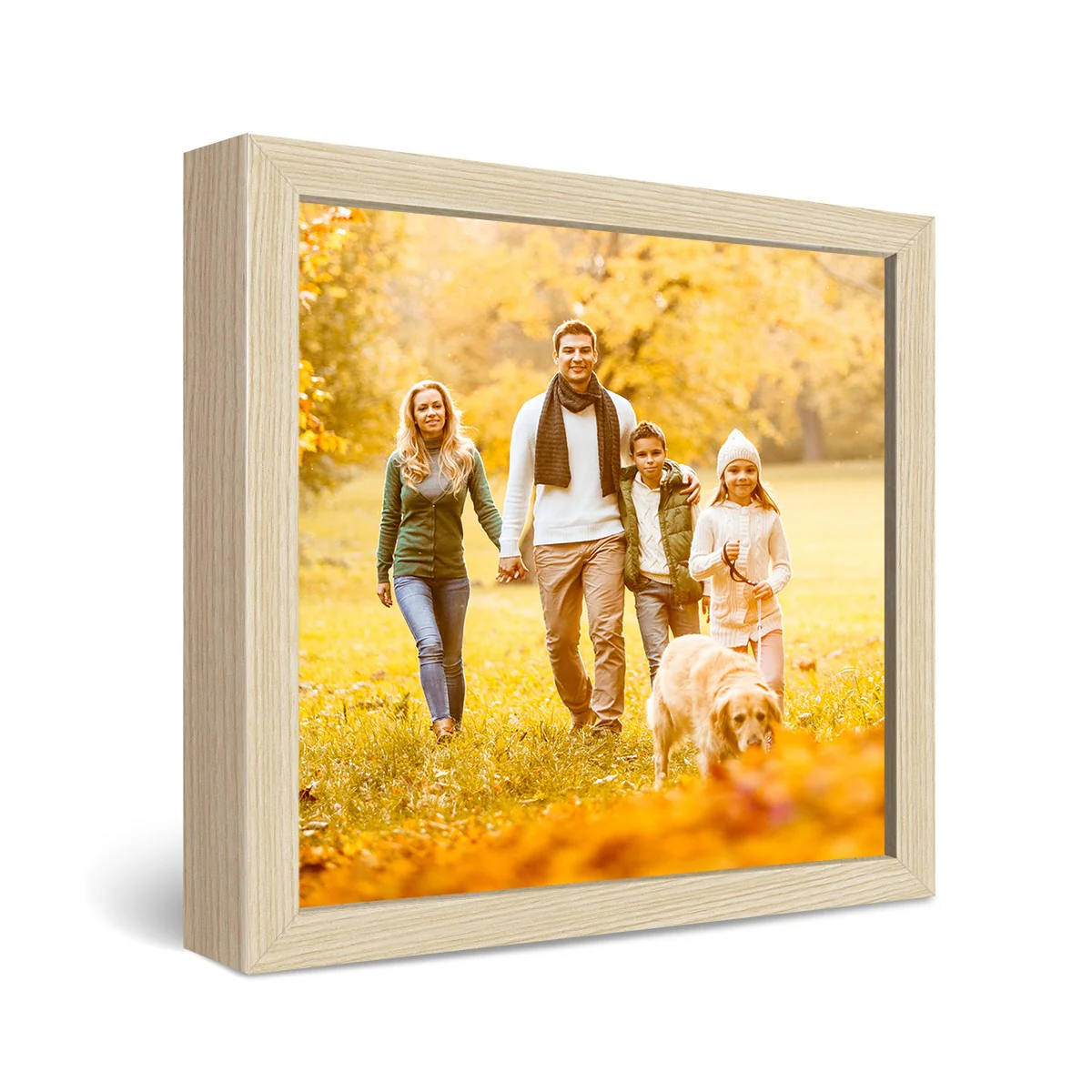24x24" Framed Metal Print - Image 3