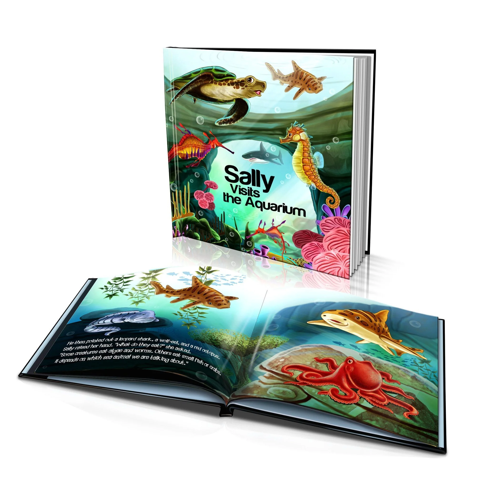Large Hard Cover Story Book - Visits the Aquarium